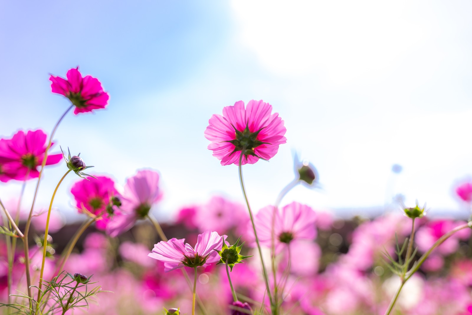 借り入れに困ったら