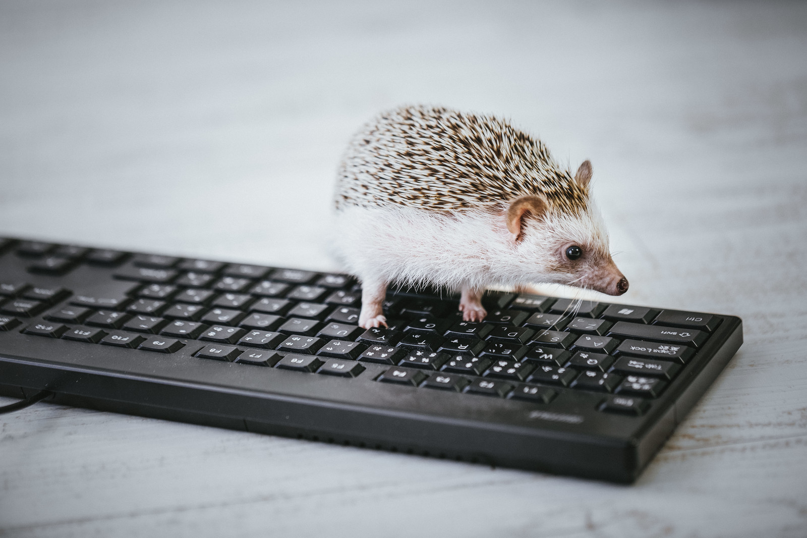 専門家に借金問題を相談