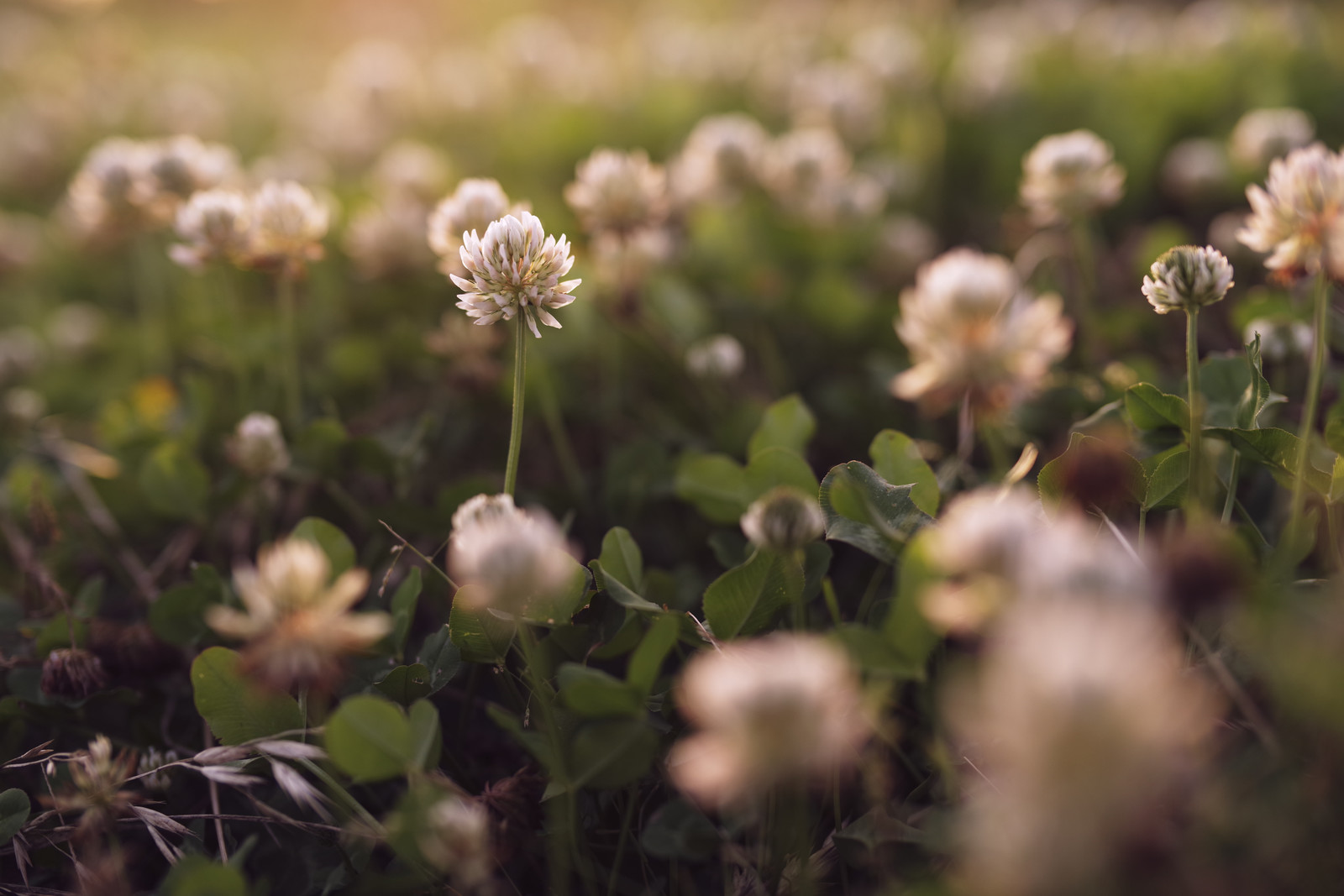 賃金業法を正しく知る