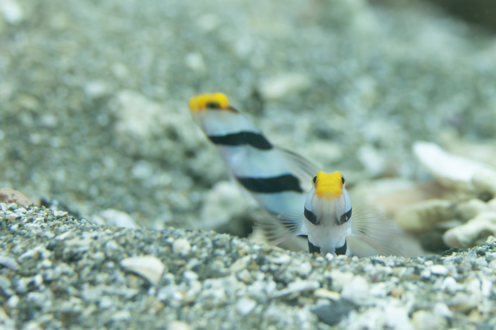 乗り換えをして楽になる