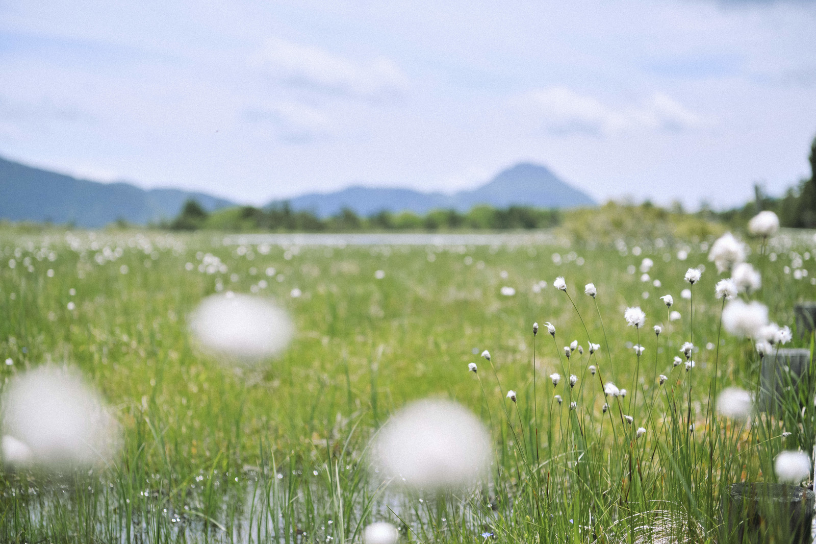 信用ブラックになってできること