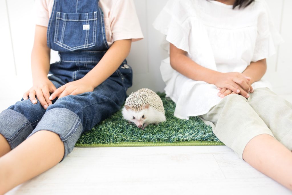 TVコマーシャルで流れる貸金系が激しくイメージ重視な理由